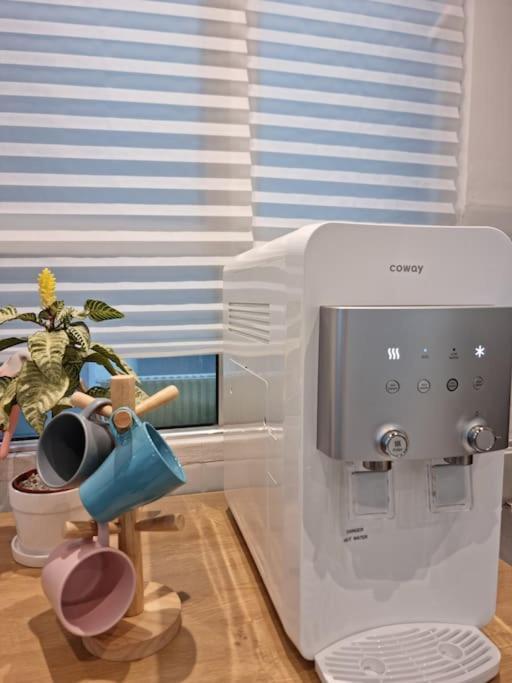 The Cotton Bleu Homestay كُوالا تيرينغانو المظهر الخارجي الصورة